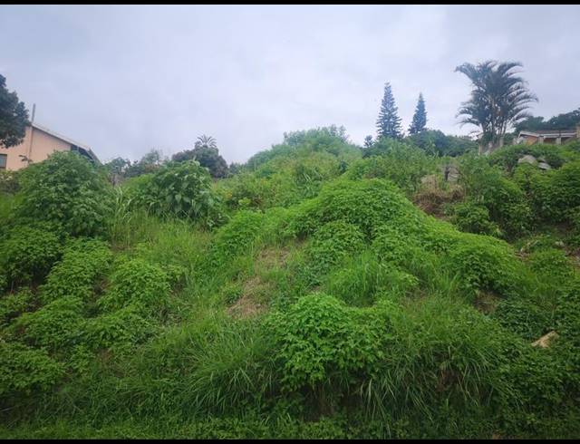 LAND FOR SALE IN UMZINTO